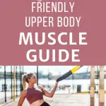 woman using a trx with text overlay beginner friendly upper body muscle guide