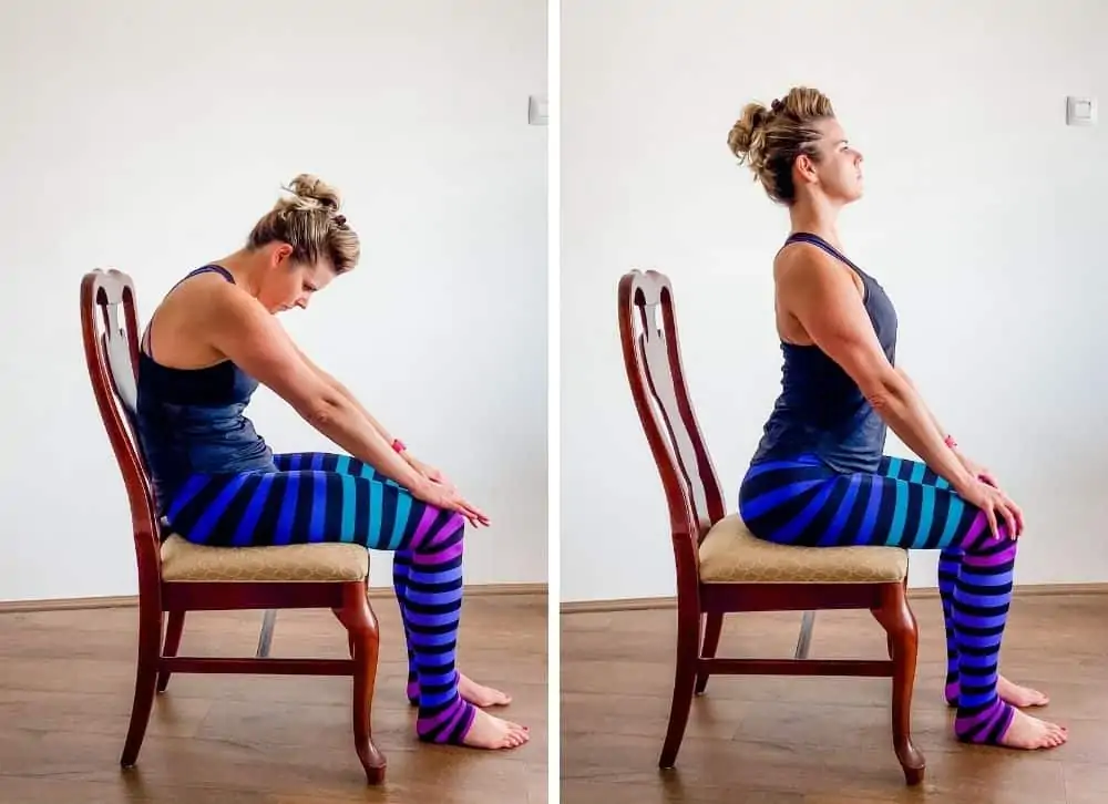 seated cat cow demonstration - stretches for long plane rides