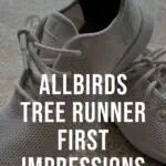 pinterest pin allbirds tree runner first impressions