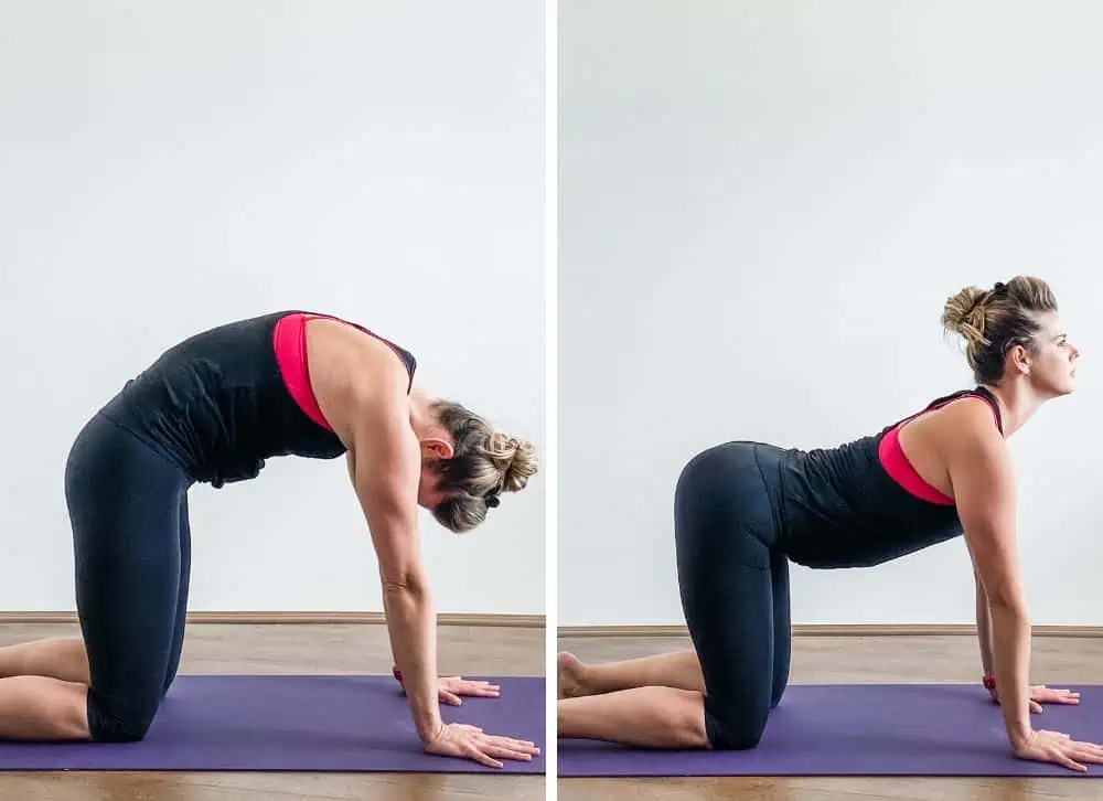 cat cow yoga pose - 13 stretches for lower back pain